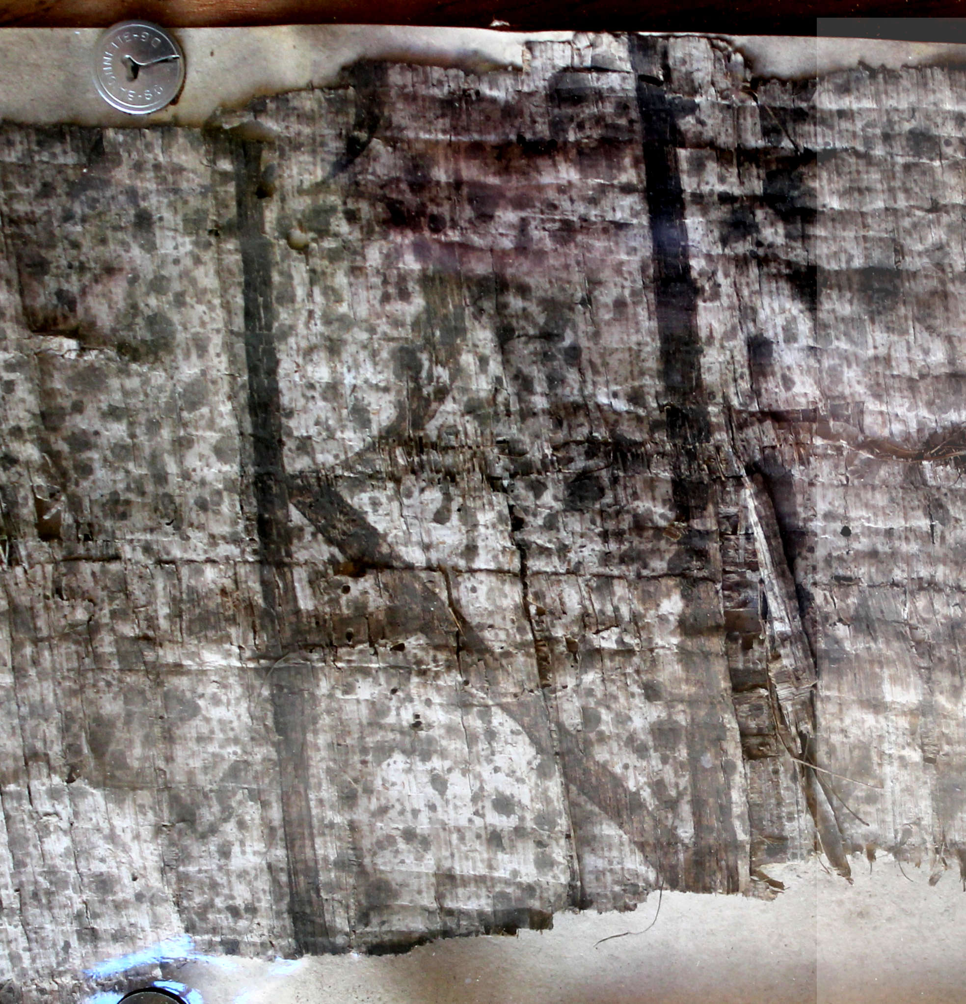 Ms117 papyrus lacunes Copie